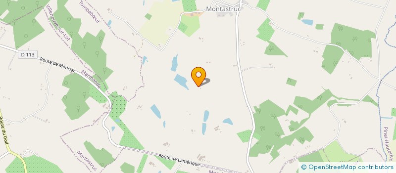 localisation de l'entreprise MADAME ELODIE BLANCHET  MONTASTRUC