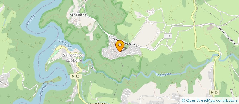 localisation de l'entreprise MADAME ELODIE BOUTHEON  SAINT-ETIENNE