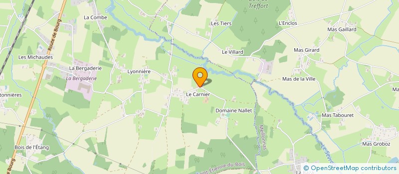 localisation de l'entreprise MADAME ELODIE CHOMAT  SAINT-ETIENNE-DU-BOIS