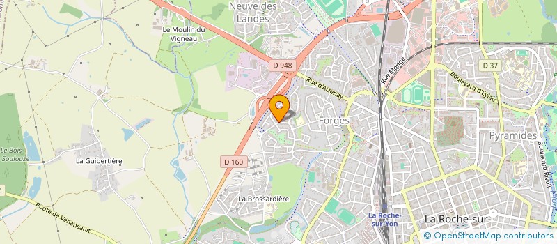 localisation de l'entreprise MADAME ELODIE COLMAIN à LA ROCHE-SUR-YON