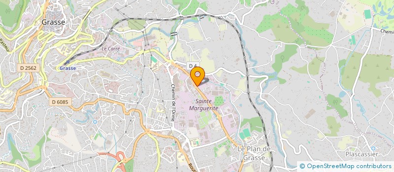 localisation de l'entreprise MADAME ELODIE DALMASSO  GRASSE