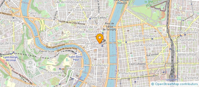 localisation de l'entreprise MADAME ELODIE FAGOT à LYON