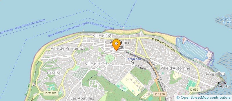 localisation de l'entreprise MADAME ELODIE FAVARD  LA TESTE-DE-BUCH