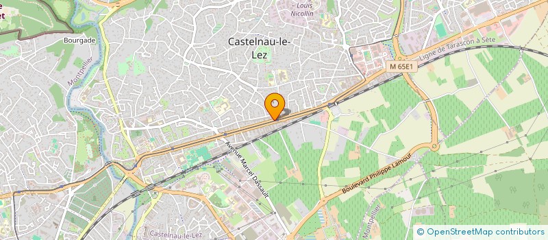 localisation de l'entreprise MADAME ELODIE GARRIGUES à CASTELNAU-LE-LEZ