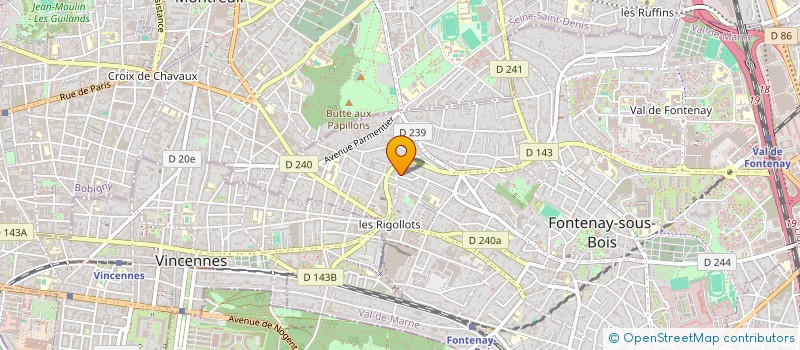 localisation de l'entreprise MADAME ELODIE MONTAIN à FONTENAY SOUS BOIS