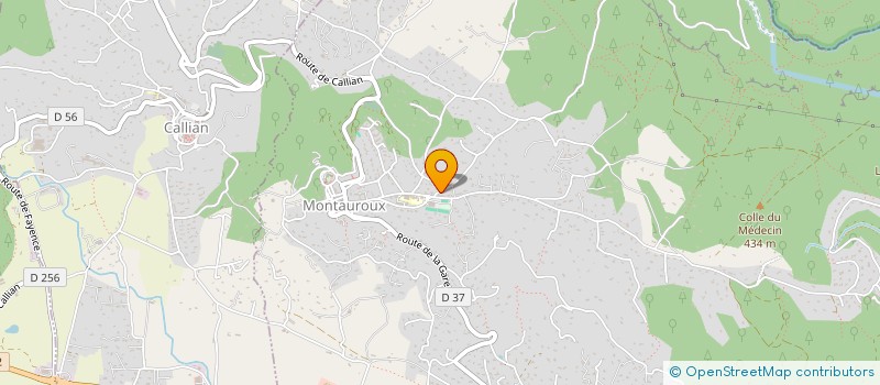 localisation de l'entreprise MADAME ELODIE MORAND à MONTAUROUX
