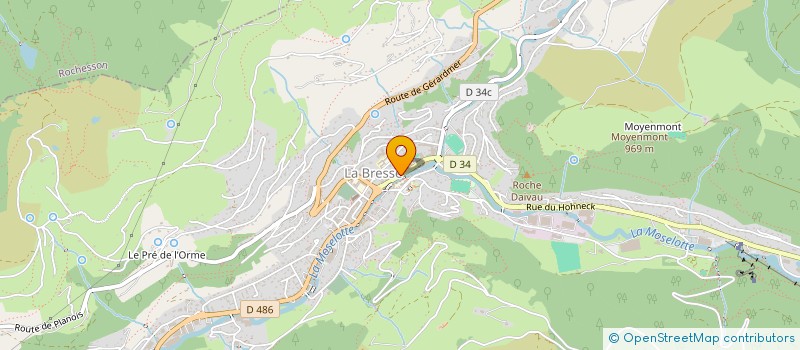 localisation de l'entreprise MADAME ELODIE MOUGEL  LA BRESSE