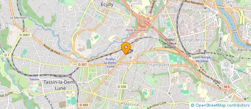 localisation de l'entreprise MADAME ELODIE ORIOL à LYON