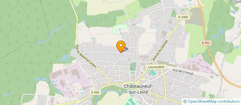 localisation de l'entreprise MADAME ELODIE PETIT à CHATEAUNEUF-SUR-LOIRE