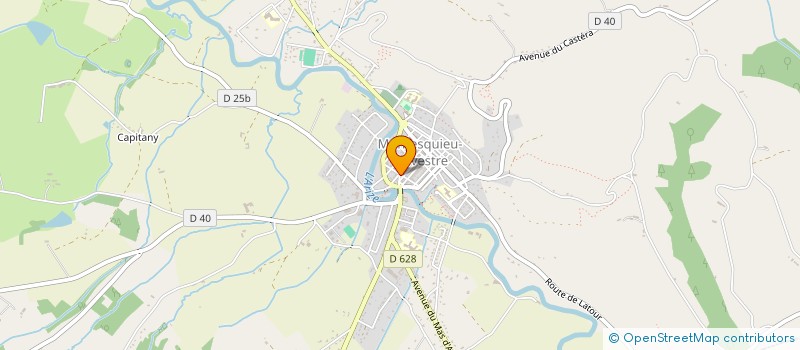 localisation de l'entreprise MADAME ELODIE PRAVISANI à MONTESQUIEU-VOLVESTRE