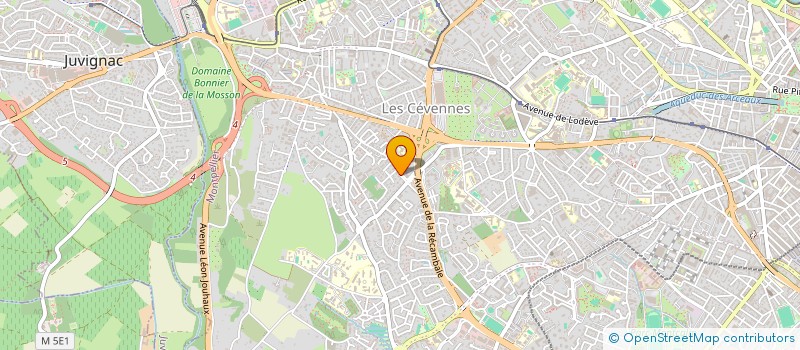 localisation de l'entreprise MADAME ELODIE RAKOTOMIZAO à MONTPELLIER