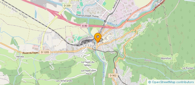 localisation de l'entreprise MADAME ELODIE REY  SAINT-GERVAIS-LES-BAINS