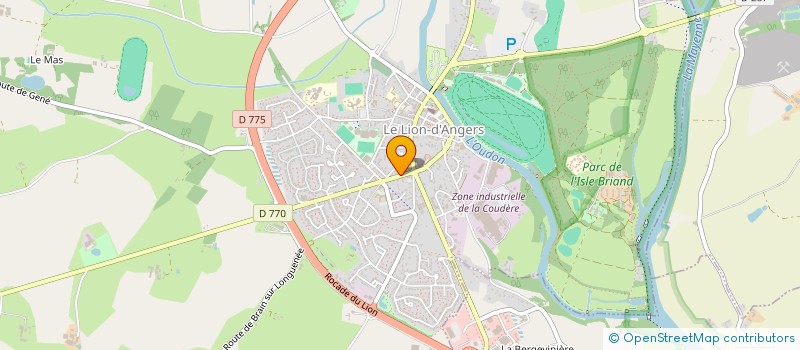 localisation de l'entreprise MADAME ELODIE SALMON  LE LION-D'ANGERS