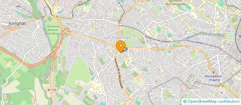 localisation de l'entreprise MADAME ELODIE SANCHEZ à MONTPELLIER