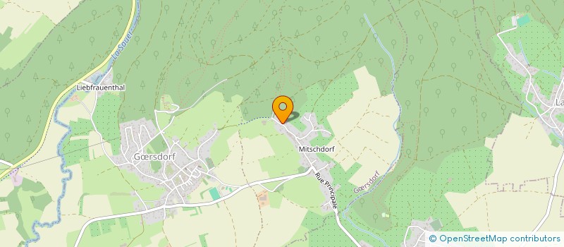 localisation de l'entreprise MADAME ELODIE SCHLOSSER  GRSDORF