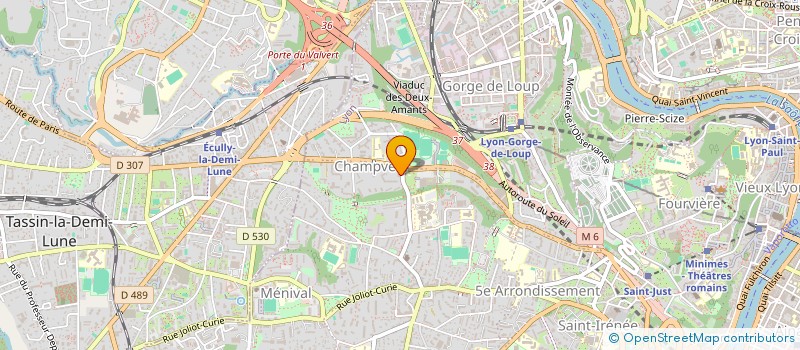 localisation de l'entreprise MADAME ELOISA MOLENDINI  LYON