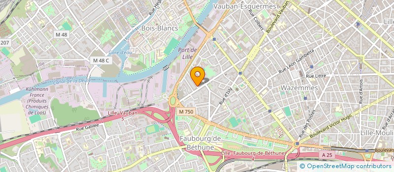 localisation de l'entreprise MADAME ELOISE AUFFRET à LILLE