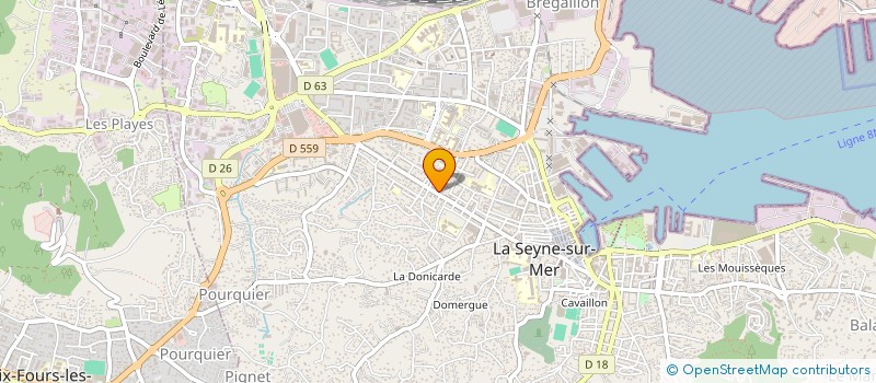 localisation de l'entreprise MADAME ELOISE HICKS à LA SEYNE-SUR-MER