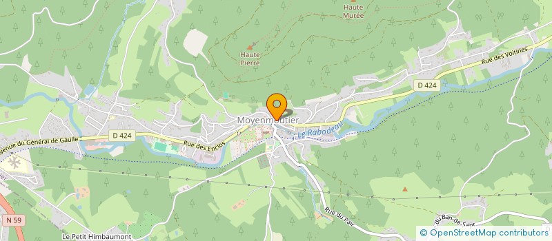 localisation de l'entreprise MADAME ELOISE L'HOTE  MOYENMOUTIER