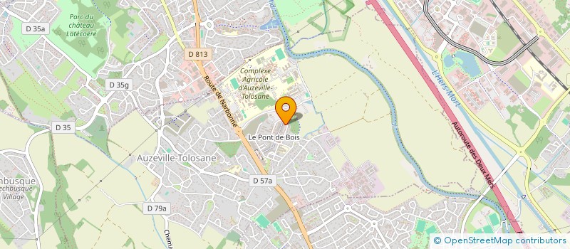 localisation de l'entreprise MADAME ELORA MAGNE  AUZEVILLE-TOLOSANE