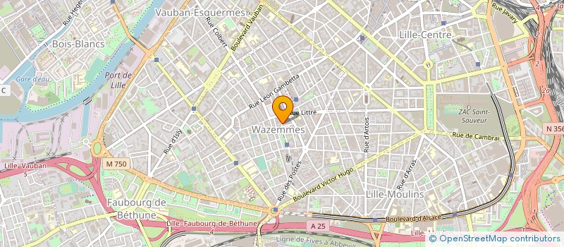 localisation de l'entreprise MADAME ELSA BOURDEAUD'HUI à LILLE