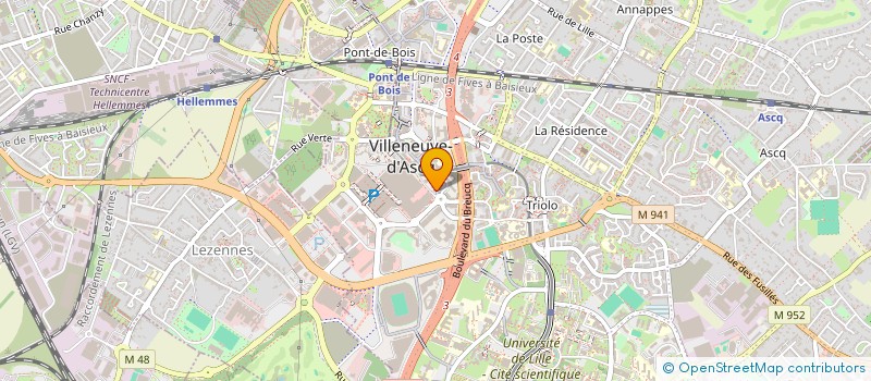 localisation de l'entreprise MADAME ELSA BRUNEAU  VILLENEUVE-D'ASCQ