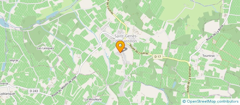 localisation de l'entreprise MADAME ELSA CORDEIRO  SAINT-GENES-DE-CASTILLON