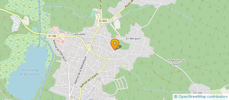 localisation de l'entreprise MADAME ELSA COUTO DE BARROS  BISCARROSSE