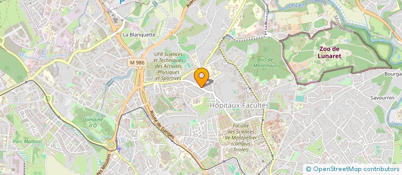 localisation de l'entreprise MADAME ELSA DANTHONY à MONTPELLIER