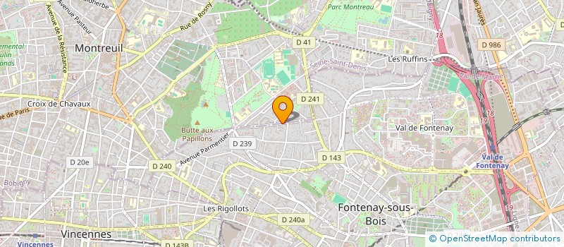 localisation de l'entreprise MADAME ELSA DELAN à FONTENAY-SOUS-BOIS