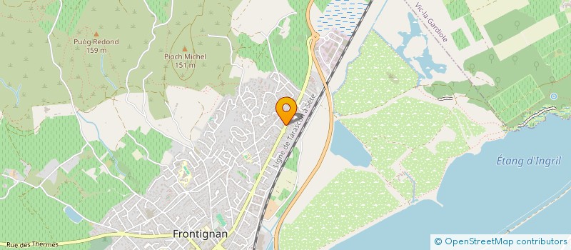 localisation de l'entreprise MADAME ELSA DUCHEMIN à FRONTIGNAN