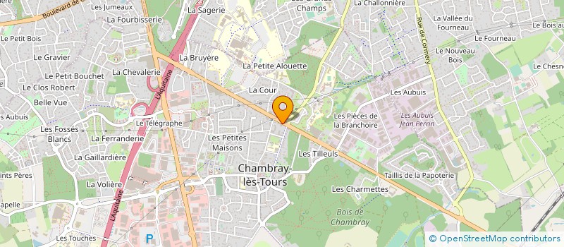 localisation de l'entreprise MADAME ELSA FOULON  CHAMBRAY-LES-TOURS