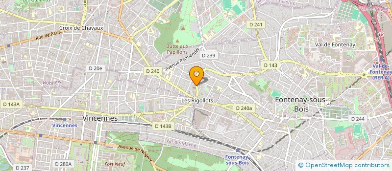 localisation de l'entreprise MADAME ELSA FRAYSSE à FONTENAY-SOUS-BOIS