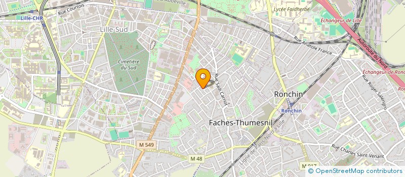 localisation de l'entreprise MADAME ELSA GAUDEFROY-DEMOMBYNES à FACHES-THUMESNIL