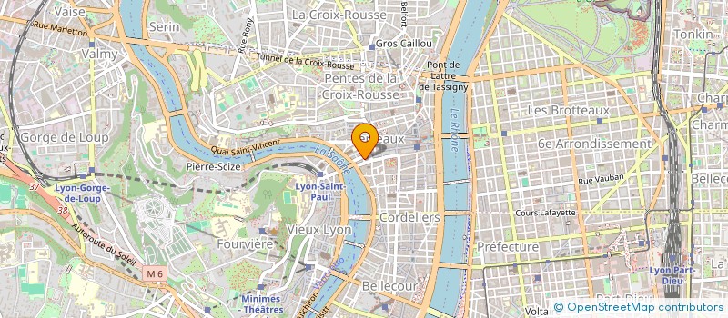 localisation de l'entreprise MADAME ELSA GRIFFAULT à LYON