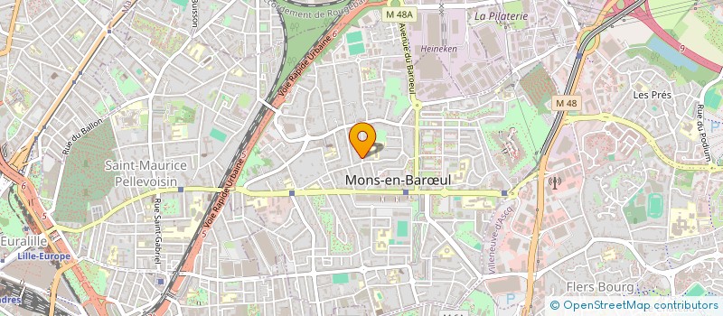 localisation de l'entreprise MADAME ELSA HANOT  MONS-EN-BARUL