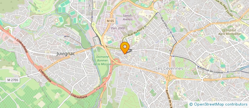localisation de l'entreprise MADAME ELSA HERLEMANN à MONTPELLIER