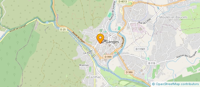 localisation de l'entreprise MADAME ELSA MENARD  GANGES