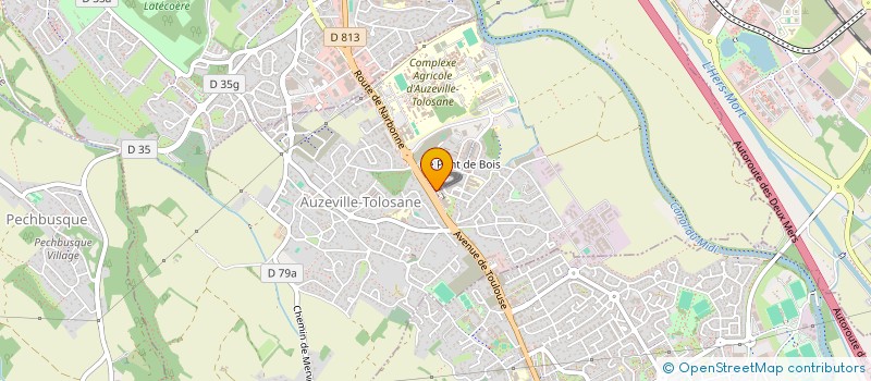 localisation de l'entreprise MADAME ELSA POIX  AUZEVILLE-TOLOSANE