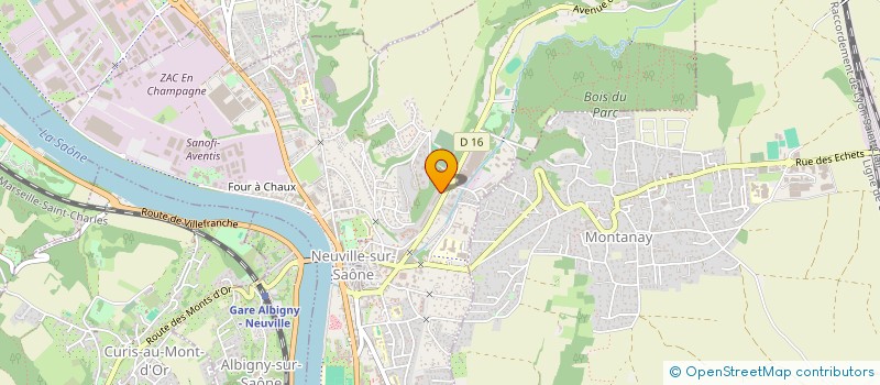 localisation de l'entreprise MADAME ELSA RUSSI  NEUVILLE-SUR-SAONE