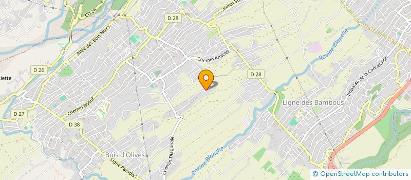 localisation de l'entreprise MADAME ELVINA HOARAU  SAINT-PIERRE