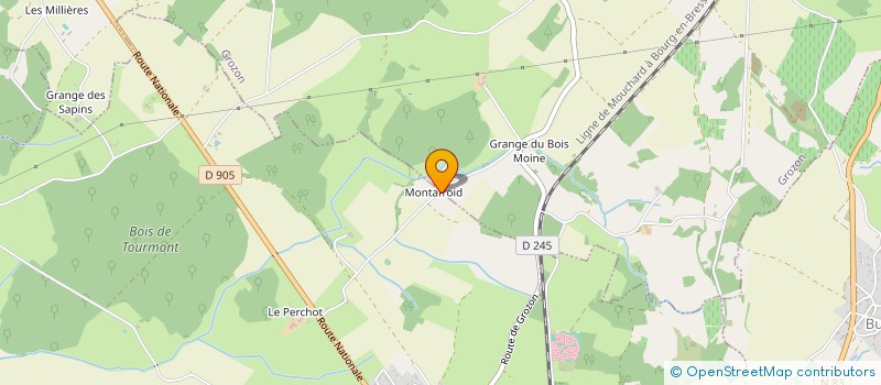 localisation de l'entreprise MADAME ELVINA JACQUEMIN  GROZON