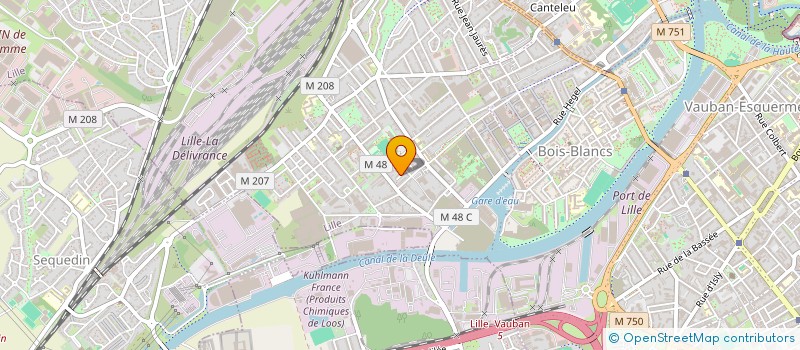 localisation de l'entreprise MADAME ELVIRA KUZINA  LILLE