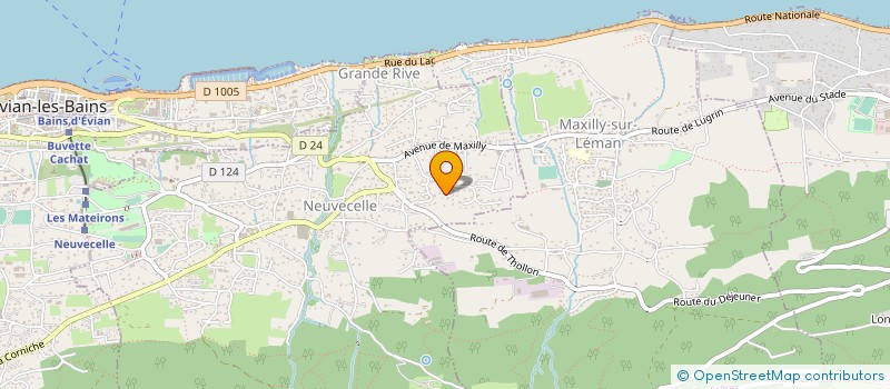 localisation de l'entreprise MADAME ELVIRA ROZEMBLIUM  NEUVECELLE