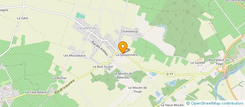 localisation de l'entreprise MADAME ELVIRE CAGNAT à VAUDELNAY