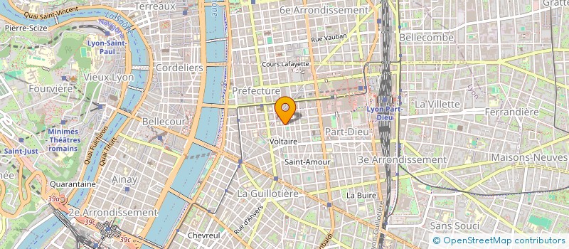 localisation de l'entreprise MADAME ELWINE SCHONENBERGER  LYON