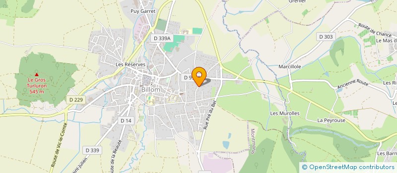 localisation de l'entreprise MADAME ELYANE ROCHEFORT à BILLOM