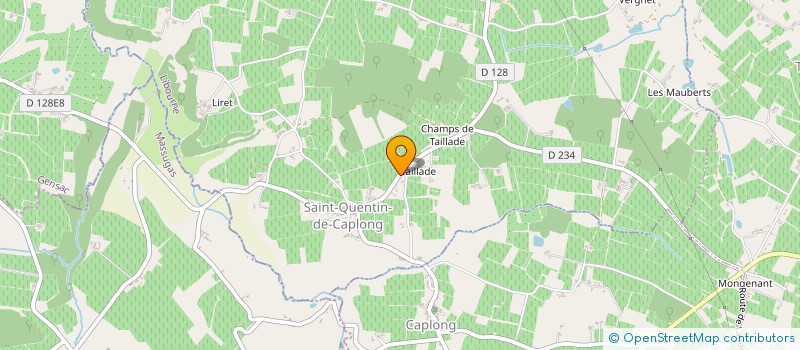 localisation de l'entreprise MADAME ELYETTE THIBAL-MAZIAT  SAINT-QUENTIN-DE-CAPLONG