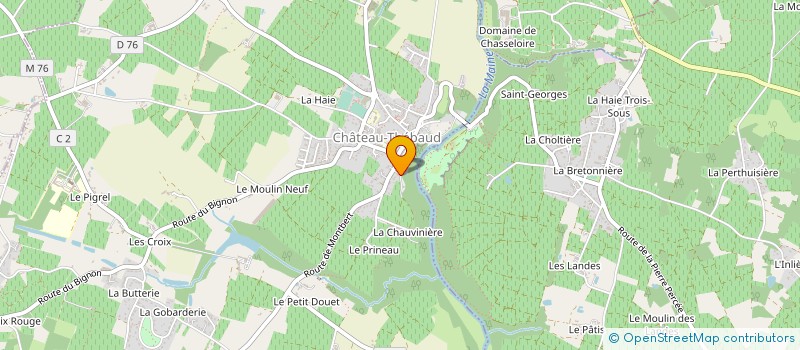 localisation de l'entreprise MADAME ELYSABETH BELLEHIGUE à CHATEAU-THEBAUD