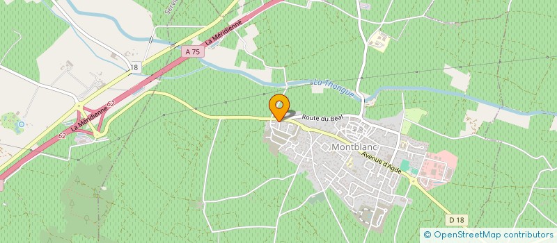 localisation de l'entreprise MADAME ELYSE CHAMBOULEYRON  MONTBLANC